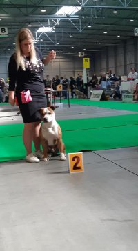 58049107 2635624046453378 238332378114686976 n