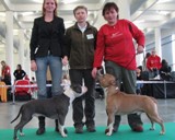 CACIB Brno: Alena s Angel, Březinov� Hana, Leona se Samem